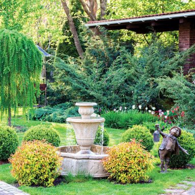 Деревья для ленивых: 6 деревьев, которые хорошо приживутся и вырастут без вашего участия