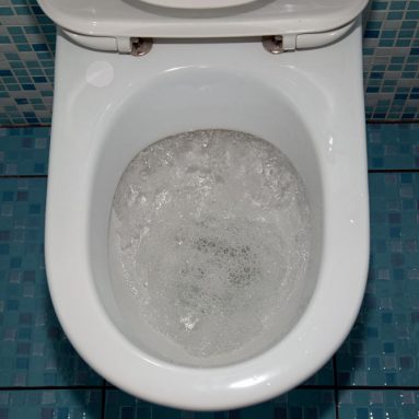 Куда течёт вода из унитаза? И как очищаются бытовые сточные воды?