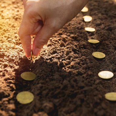 Основы овощной экономики: вырастить самому или купить