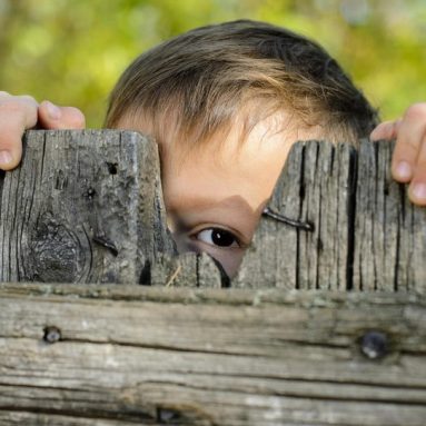 Какой забор дешевле: давайте считать вместе