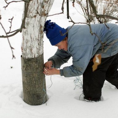 Завершаем дачный сезон — как не допустить ошибок