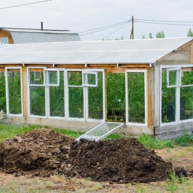 Стоит ли удобрять теплицу фекалиями