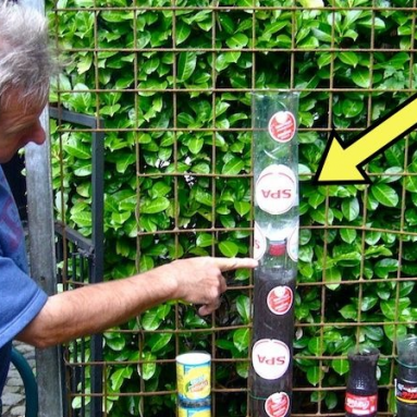 Пенсионер из Бельгии обустроил приличный огород всего на 1 квадратном метре!