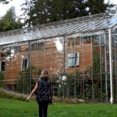 Зачем строить дом внутри теплицы и не опасно ли это