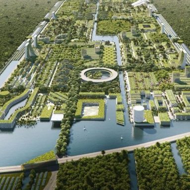 100% Автономный умный город посреди леса