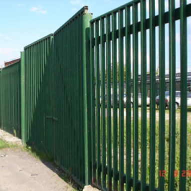 Аглаонема: виды и фото, особенности ухода в домашних условиях